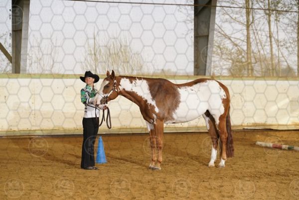 sK3F08364.JPG